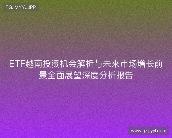 ETF越南投资机会解析与未来市场增长前景全面展望深度分析报告 ETF越南投资机会解析与未来市场增长前景全面展望深度分析报告